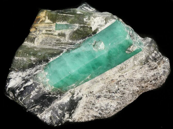 Beryl (Var: Emerald) Crystal in Schist & Biotite - Bahia, Brazil #44124